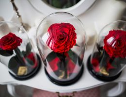 Миниатюра к статье Цветок, сохраненный во времени: романтика и символизм розы в колбе
