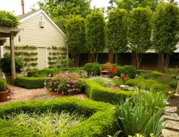 Миниатюра к статье Как обустроить свой сад