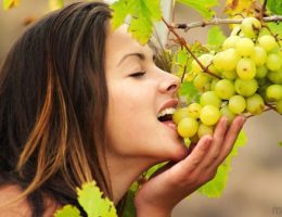 Миниатюра к статье Масло виноградной косточки, полезные свойства и противопоказания